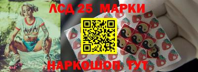 индика Камышлов