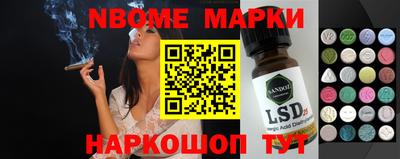 индика Камышлов