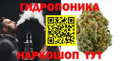 ALPHA PVP Кимры