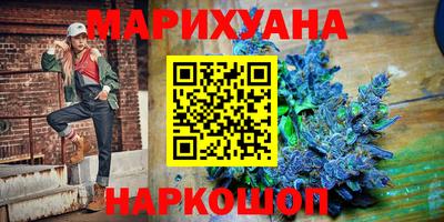индика Камышлов