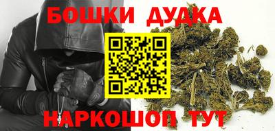 индика Камышлов