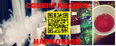 индика Камышлов