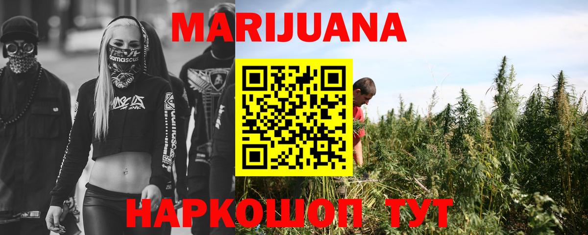 Канабис планчик Великий Новгород